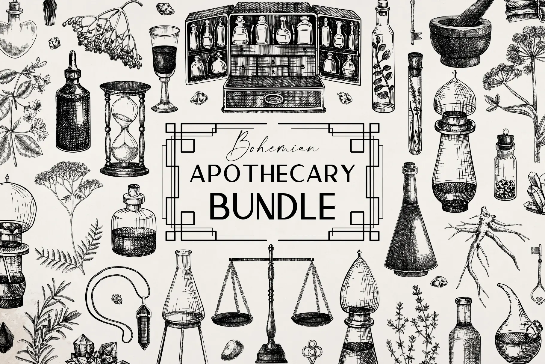 Antique Apothecary Bundle. Medicinal Herbs Vector Sketches Illustration